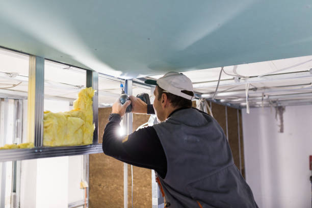 Best Home Insulation Services  in Reno, OH