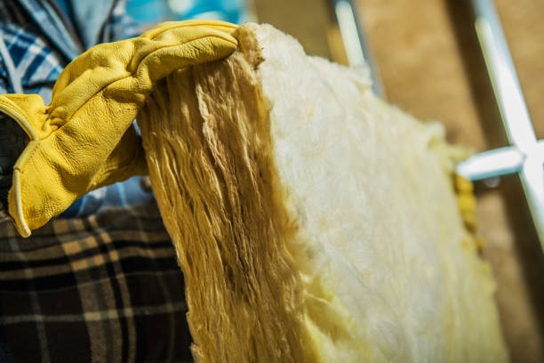 Best Insulation Contractors for Homes  in Reno, OH